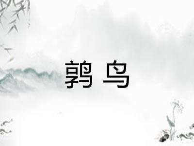 鹑鸟 鹑鸟