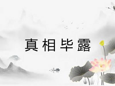 真相毕露 真相毕露