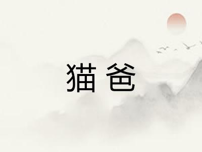 猫爸