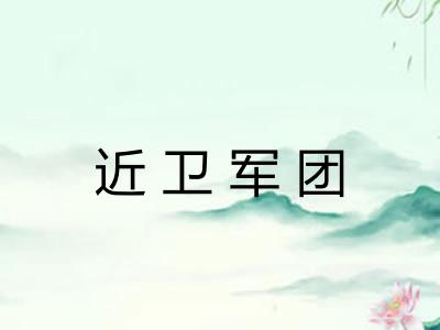 近卫军团 近卫军团