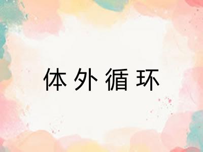 体外循环 体外循环