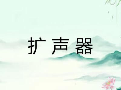 扩声器 扩声器