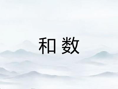 和数 和数