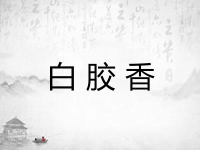 白胶香 白胶香