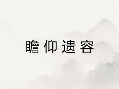 瞻仰遗容 瞻仰遗容