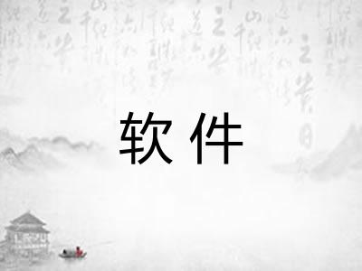 软件 软件