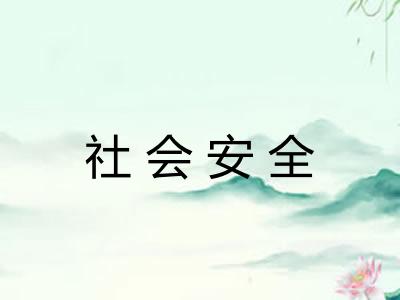社会安全