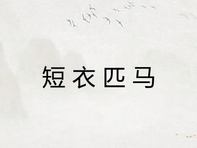 短衣匹马 短衣匹马