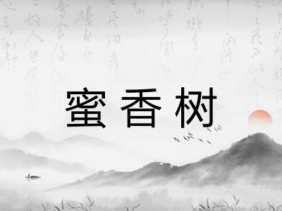 蜜香树