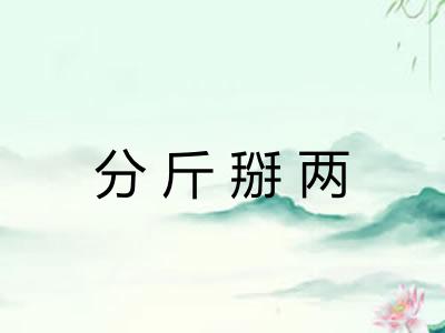 分斤掰两 分斤掰两
