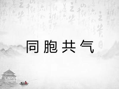 同胞共气 同胞共气