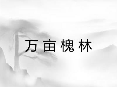 万亩槐林 万亩槐林