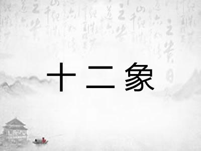 十二象 十二象