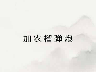 加农榴弹炮 加农榴弹炮