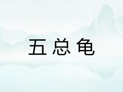 五总龟 五总龟