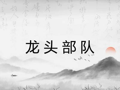 龙头部队 龙头部队