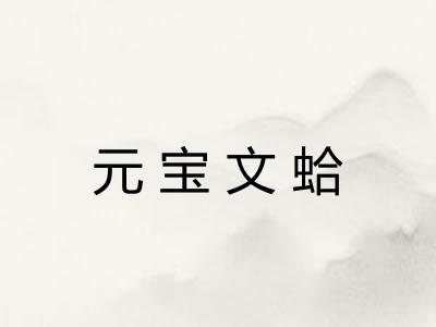 元宝文蛤 元宝文蛤