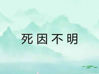 死因不明