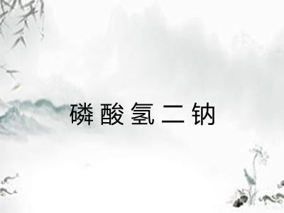 磷酸氢二钠 磷酸氢二钠