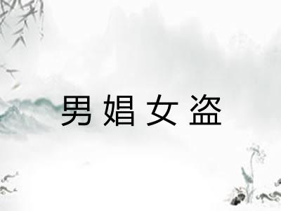 男娼女盗 男娼女盗