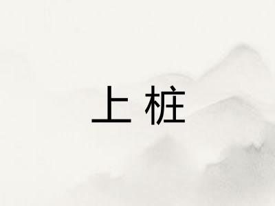 上桩 上桩