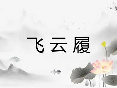 飞云履