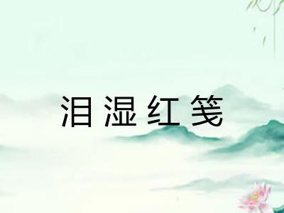 泪湿红笺 泪湿红笺