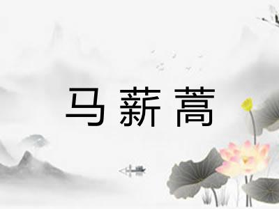 马薪蒿 马薪蒿