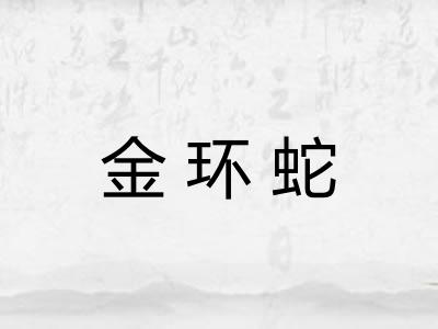 金环蛇 金环蛇