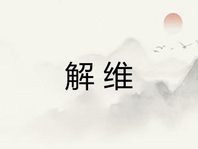 解维 解维