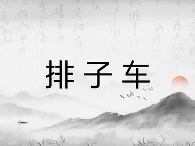排子车 排子车