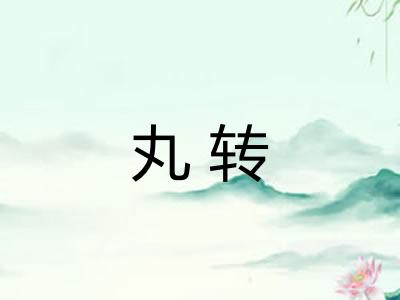 丸转 丸转