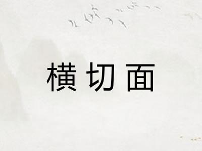 横切面 横切面