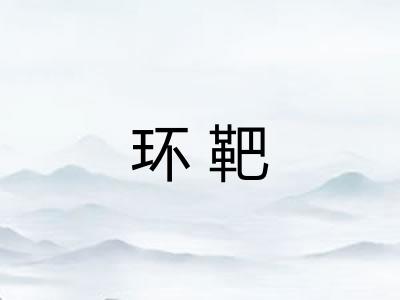 环靶 环靶