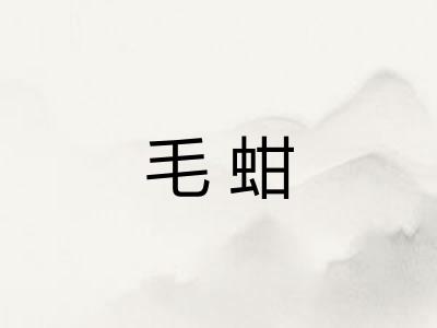 毛蚶 毛蚶