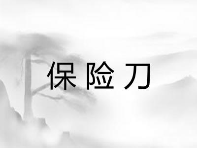 保险刀 保险刀