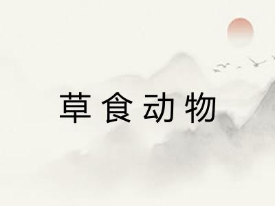 草食动物 草食动物