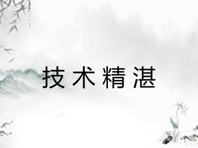 技术精湛 技术精湛