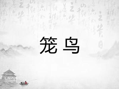 笼鸟 笼鸟