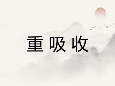 重吸收 重吸收
