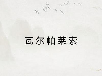 瓦尔帕莱索 瓦尔帕莱索