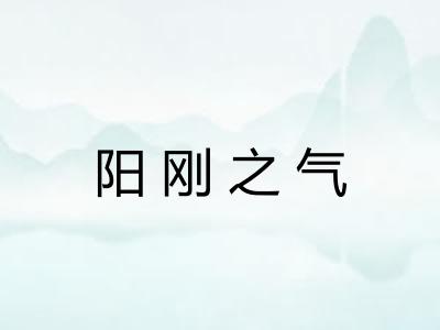 阳刚之气 阳刚之气