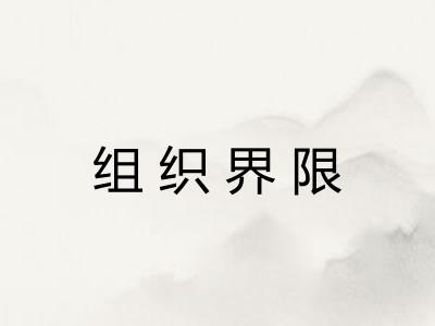 组织界限 组织界限
