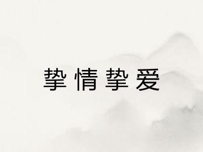 挚情挚爱 挚情挚爱