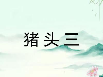 猪头三