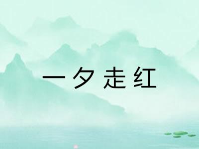 一夕走红 一夕走红