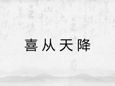喜从天降 喜从天降