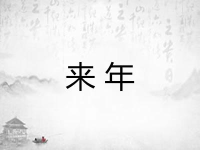 来年