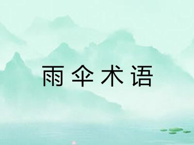 雨伞术语 雨伞术语
