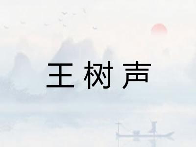 王树声 王树声